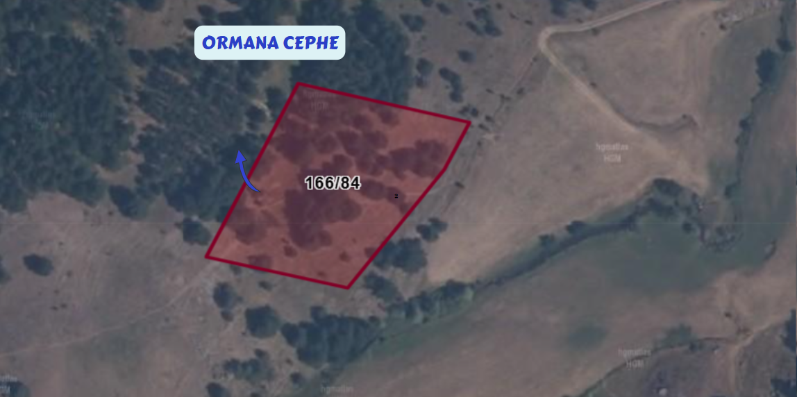 SİVAS ZARA ARMUTÇAYIRI KÖYÜNDE 4.869 M² TARLAMIZ SATILIKTIR. - SİVAS ZARA fotoğraf 9